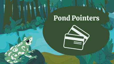 Introducing Pond Pointers: Your Weekly Credit Card Strategy Newsletter